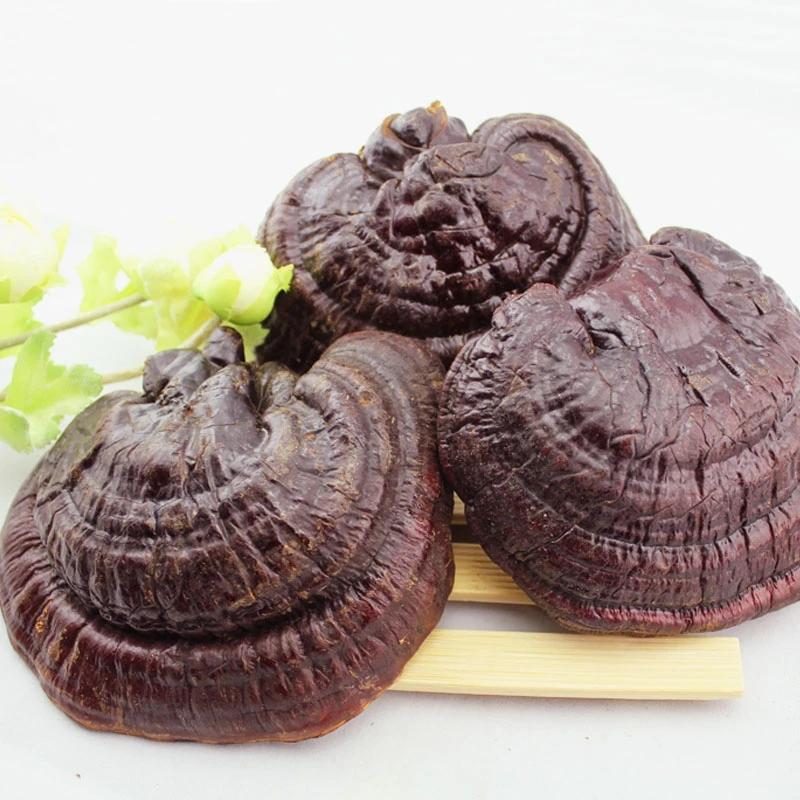 Китайский полезный чай высушенный Lingzhi Red Reishi гриб Ganoderma Lucidum травы Ling Zhi 500