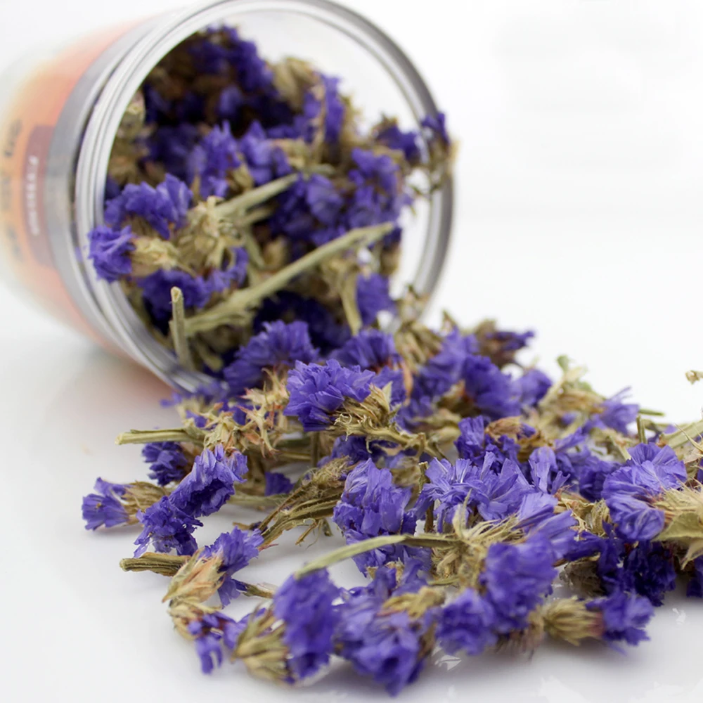 100g-free-shipping-dried-natural-flowers-natural-dried-Myosotis-Sylvatica-natural-dried-Forget-me-not-Flower (4)