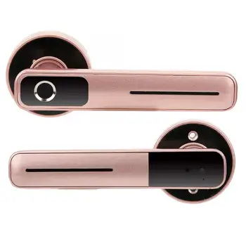 

Indoor Smart Biometric Fingerprint Aluminium Alloy Security Electronic Door Lock cerradura puerta
