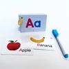 27 Alphabet Fun Flash Cards Preschool to Kindergarten ABCs Uppercase Lowercase Letters Spelling Kids Learning Educational Toy 1