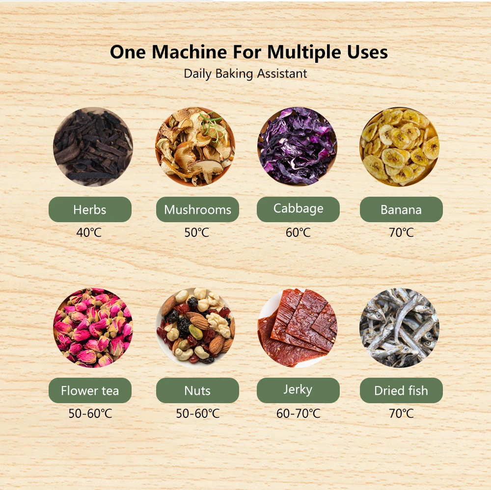 alimentos desidratador com temporizador digital controle 05