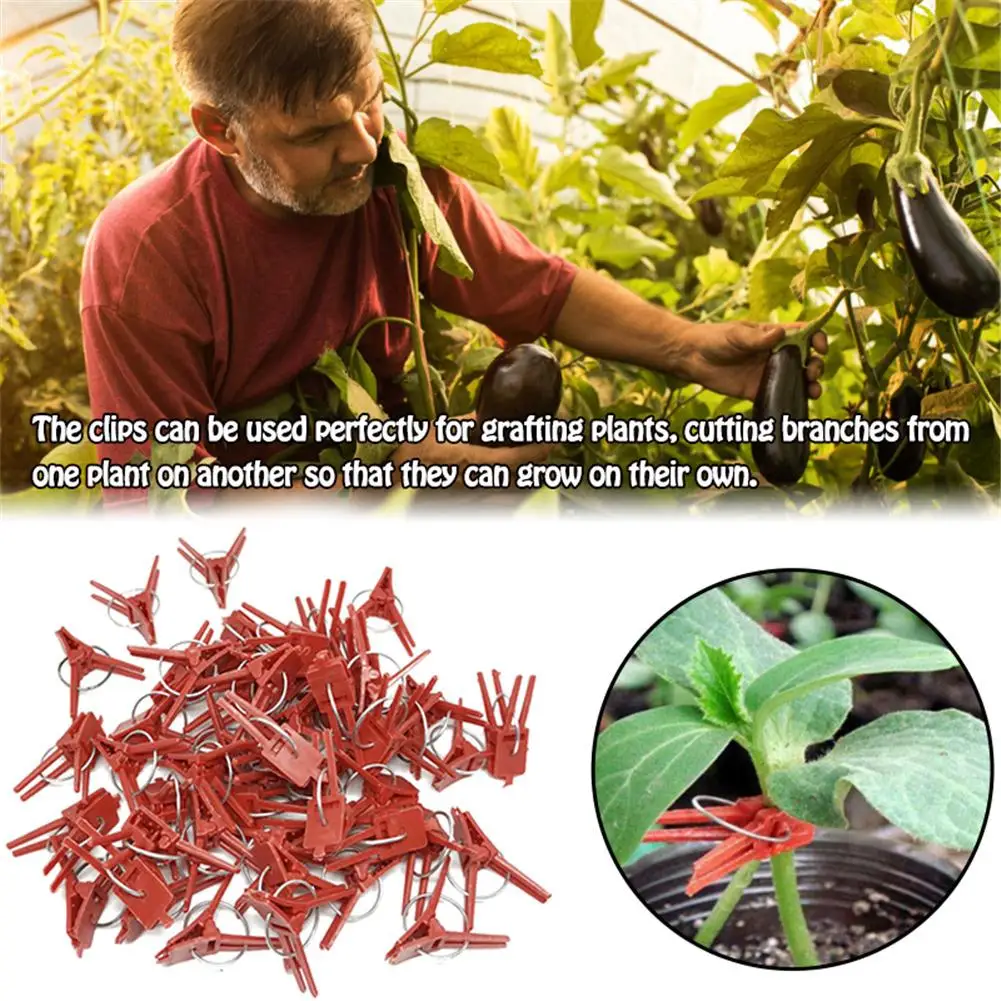 100 шт. пластиковые зажимы для подвязки томатов поддерживает соединения растения лоза крепление для теплицы Veggie садовый зажим садовый инструмент