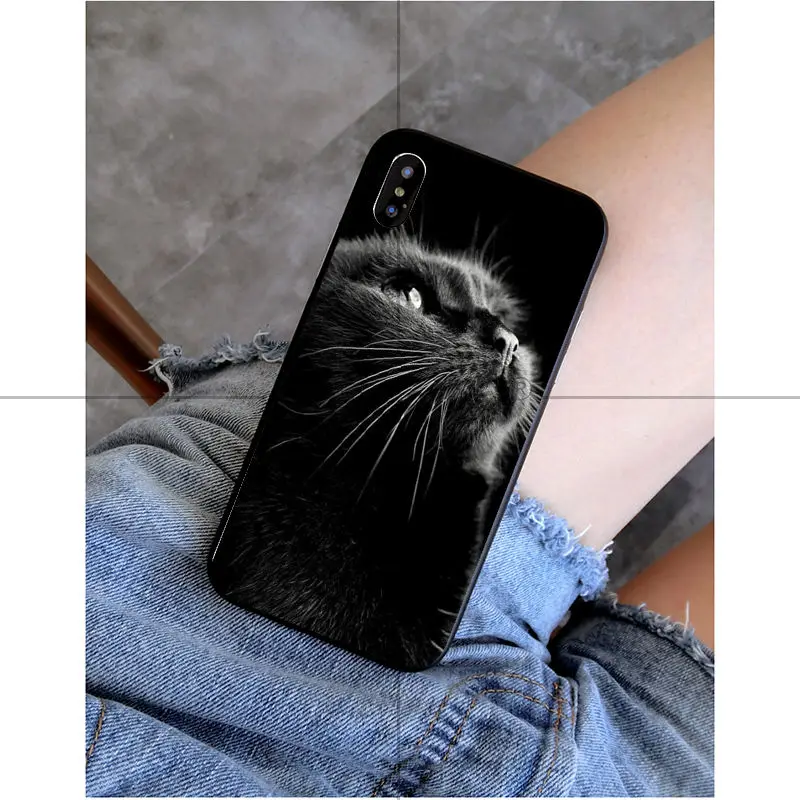 Black Cat Watch Eyes 
