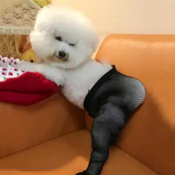 

Pet Mesh Socks Elastic Fun Creative Pets Stockings Photo Props Dog Stocking