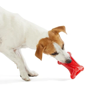 

Dog Toy Pets Food Bones Safe Non-toxic Clean Teeth Molar Toys Can Be Cleaned Natural Air Dry Massage Gums Toy Dog Supplies