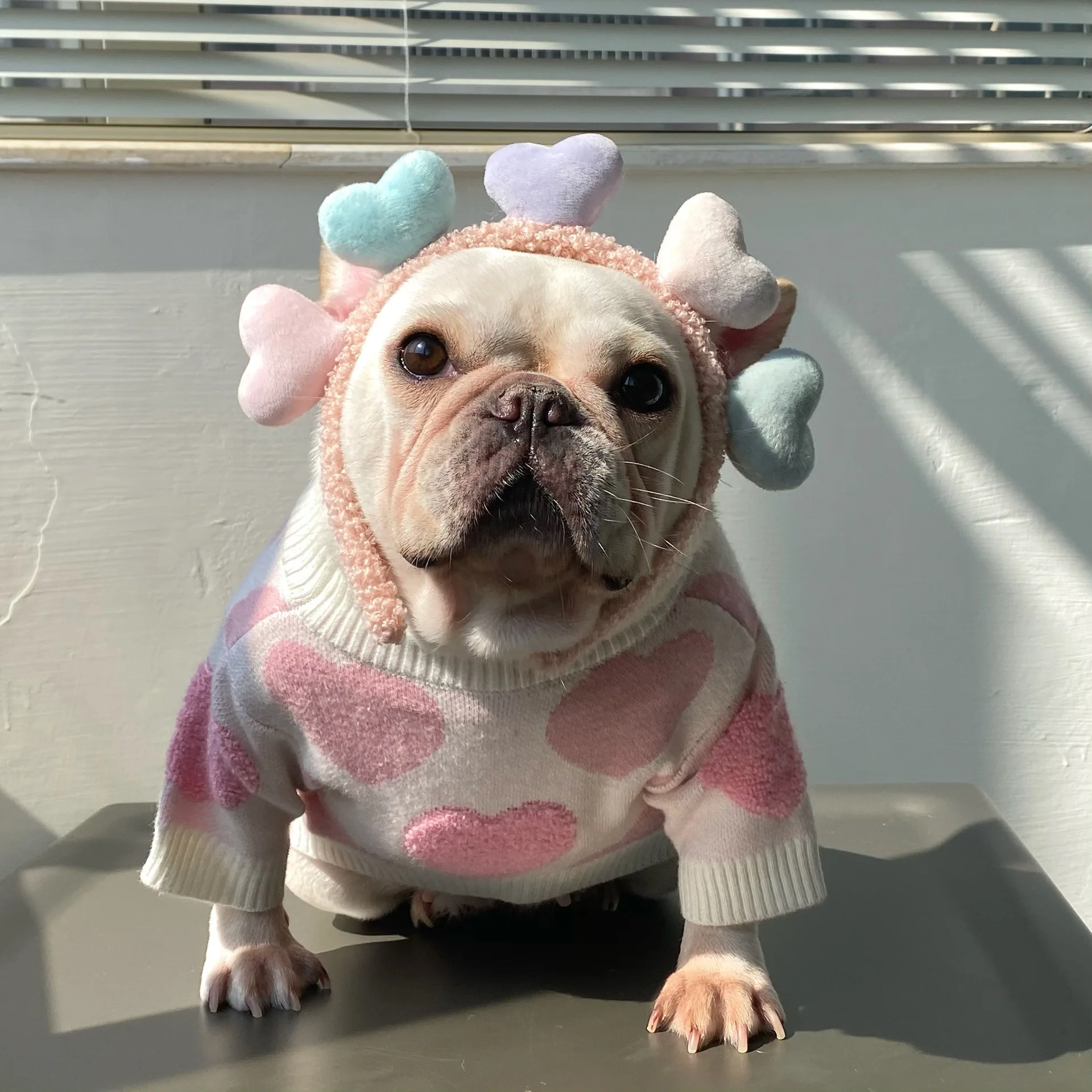 Animal de estimação rosa camisola roupas cão