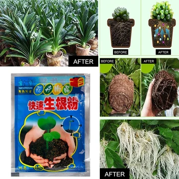 

10 PCS Fast Rooting Powder Hormone Growing Root Seedling Germination Plant Rapid rooting powder plant growth regulator TSLM1