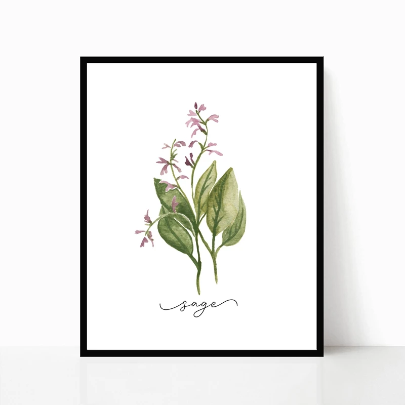 Herb-Collection-Wall-Art-Canvas-Posters-Painting-Oregano-Sage-Rosemary-Basil-Thyme-Watercolor-Wall-Picture-Print