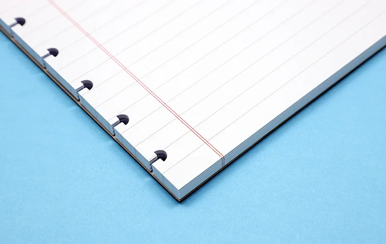 Ricarica Carta A5 Con Divisori - 120 Fogli E 10 Divisori Per Raccoglitori