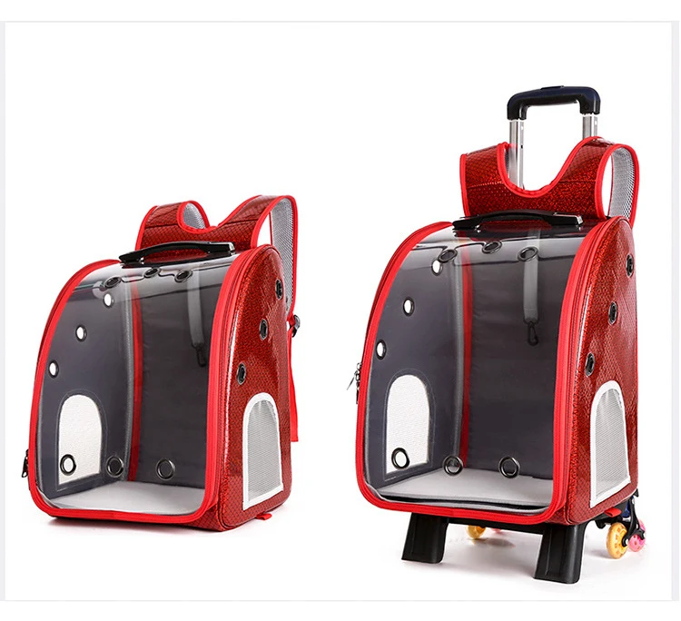 HTB1wjSKbBWD3KVjSZFsq6AqkpXam