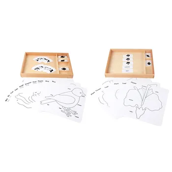

Montessori Biological Materials Animal Botany Three-Part Cards Activity Set Preschool Educational Learning Toys For Kids F2464H
