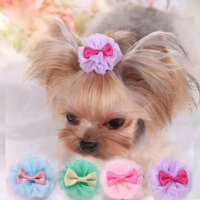 Shih tzu hair accessories Clearance