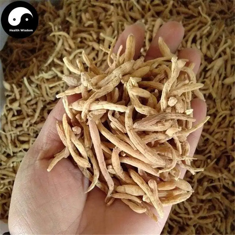 

Tai Zi Shen, Radix Pseudostellariae, Heterophylly Falsestarwort Root