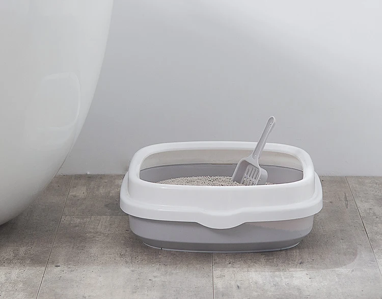 11650981335_446876995