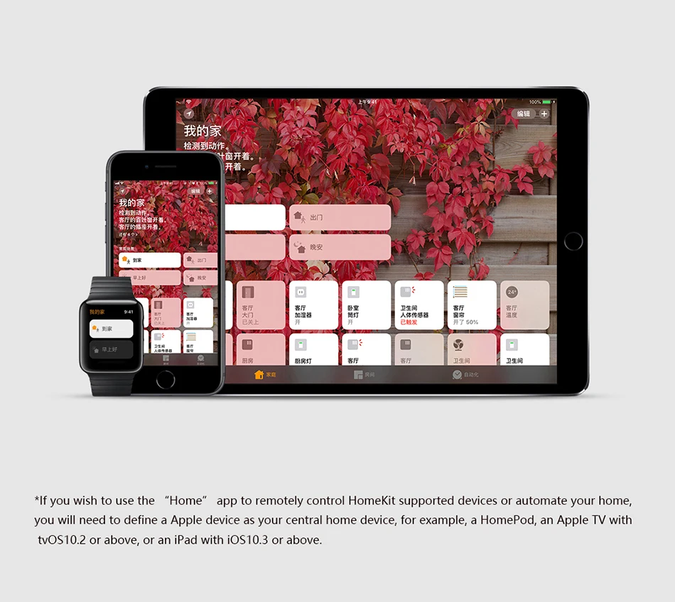 HTB1SkeNwFzqK1RjSZFoq6zfcXXaD