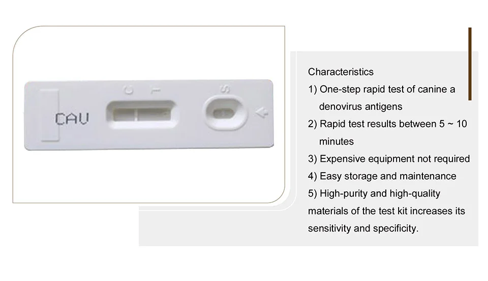 Uvet ветеринарный собачий аденовирус CAV Ag тест-комплект один шаг Быстрый собачий CAV Ag тест