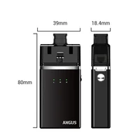 Electronic Cigarettes