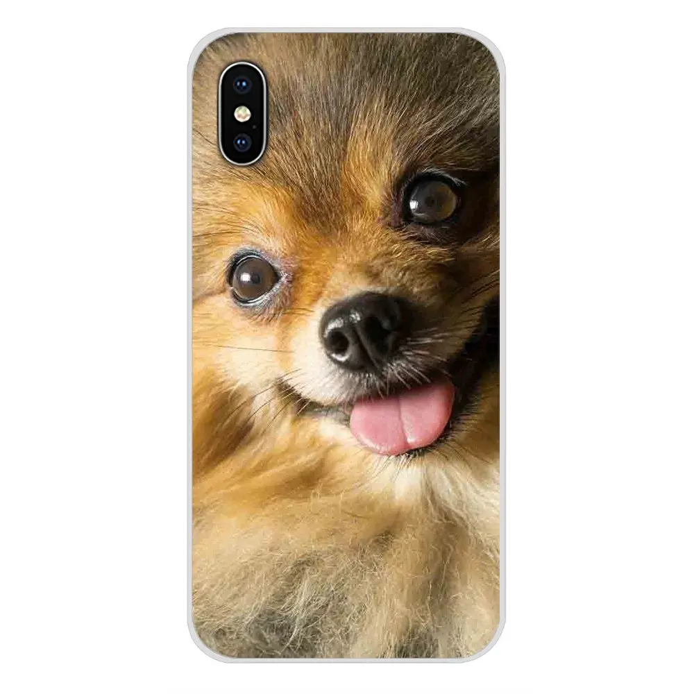 images 5 Pomeranian dogs для Apple IPhone X XR XS MAX 4 4s 5 5S 5C SE 6 6S 7 8 Plus ipod touch 5 6 Аксессуары чехлы для телефонов - Цвет: images 5