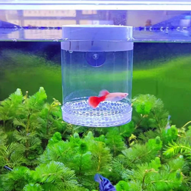 Ausgesetzt Fisch Tank Zucht Isolation Box Aquarium Fisch Züchter