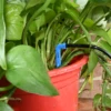 40M/20M 4-Way 8L Drip Arrow Irrigation Transmitter Dripper Sprinkler irrigation system Potted Growing Yard Greenhouses 10/20set 5