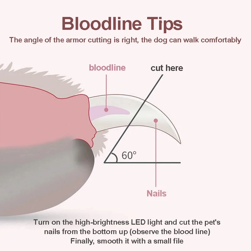 Professional-Pet-Cat-Cutter-dog-and-Cat-Nail-Clipper-Cutting-Machine-Beauty-Scissors-Animal-Cat-Locks.jpg_Q90.jpg_.webp