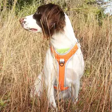 Pet Dog Harness Vest Adjustable Chest Strap with Buckle Breathable Reflective Collar for Medium Large Dogs Walking Pets colorful cute dog pet glossy reflective collar safety buckle bell strap 6 colors adjustable strap