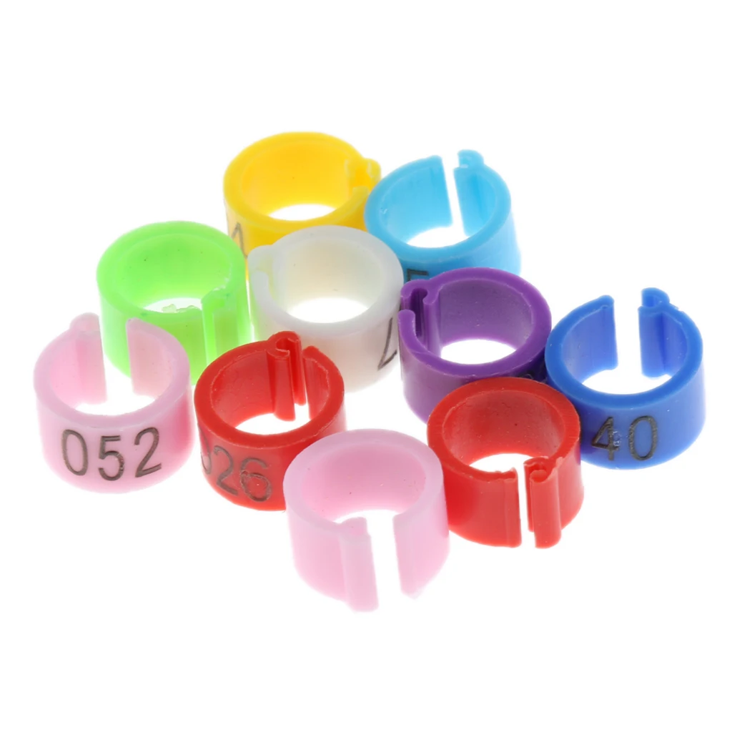 50 Pcs Identification Pigeons Band Bayonet Identification Ring Parrot Bird Opening Pigeon Foot Rings Supplies Bird Appliances