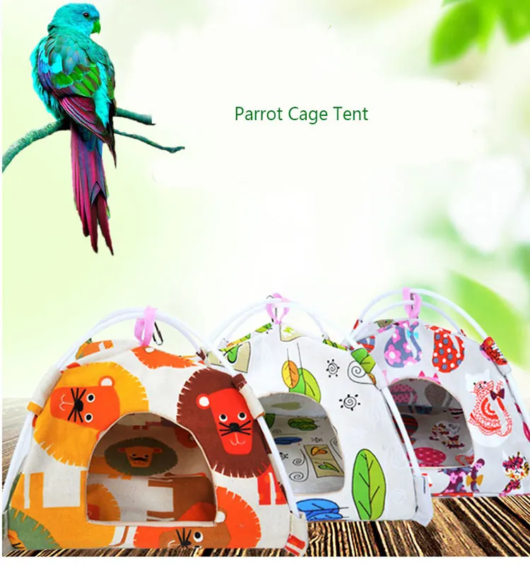 10072727406_973676538