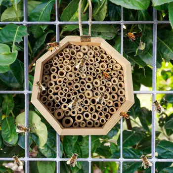 

Insect House Insect Hotel Bees Nesting Box Aid Bee Keeping Nest Box For Garden