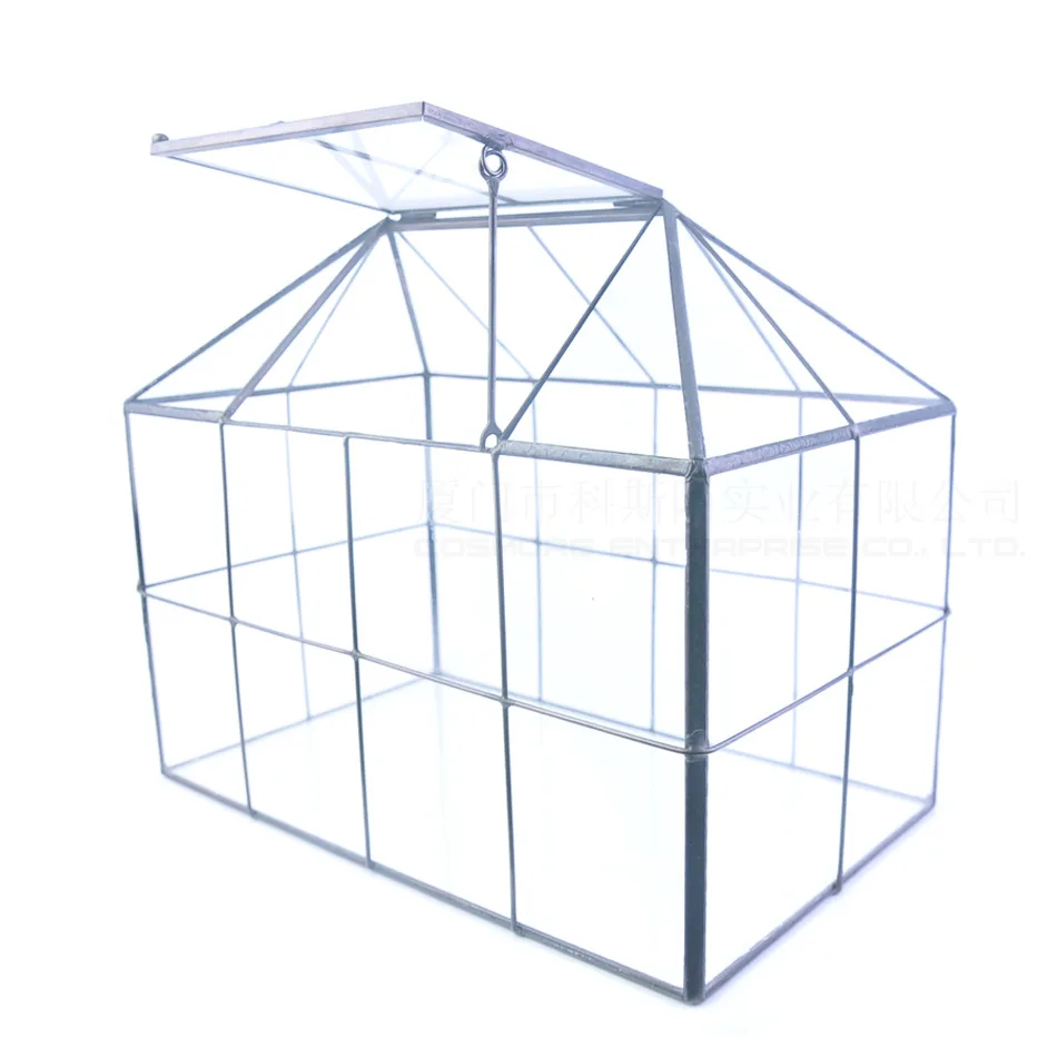 

Top Adjustable Glass House Small Succulents Moss Micro Landscape Irregular Glass Eternal Life Small Floorra Box Wholesale