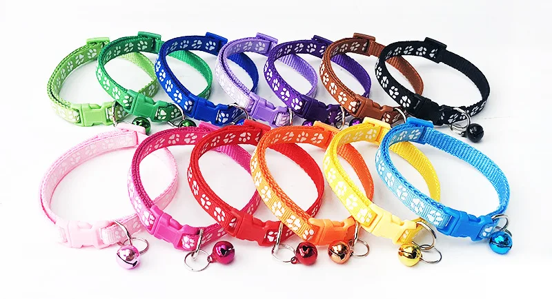 9318828064_1295703088