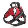 Pet Products