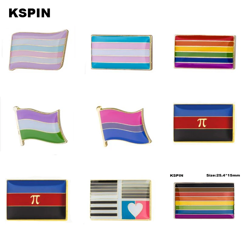 Gay & Lesbian Pride Rainbow LGBT LGBTQ Flag Lapel Pin Asexual Flag
