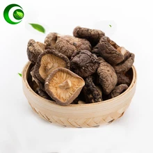 

Xianggu Mushroom,Dried Shiitake Mushroom,Shii-take,Champignon,Mushrooms Powder