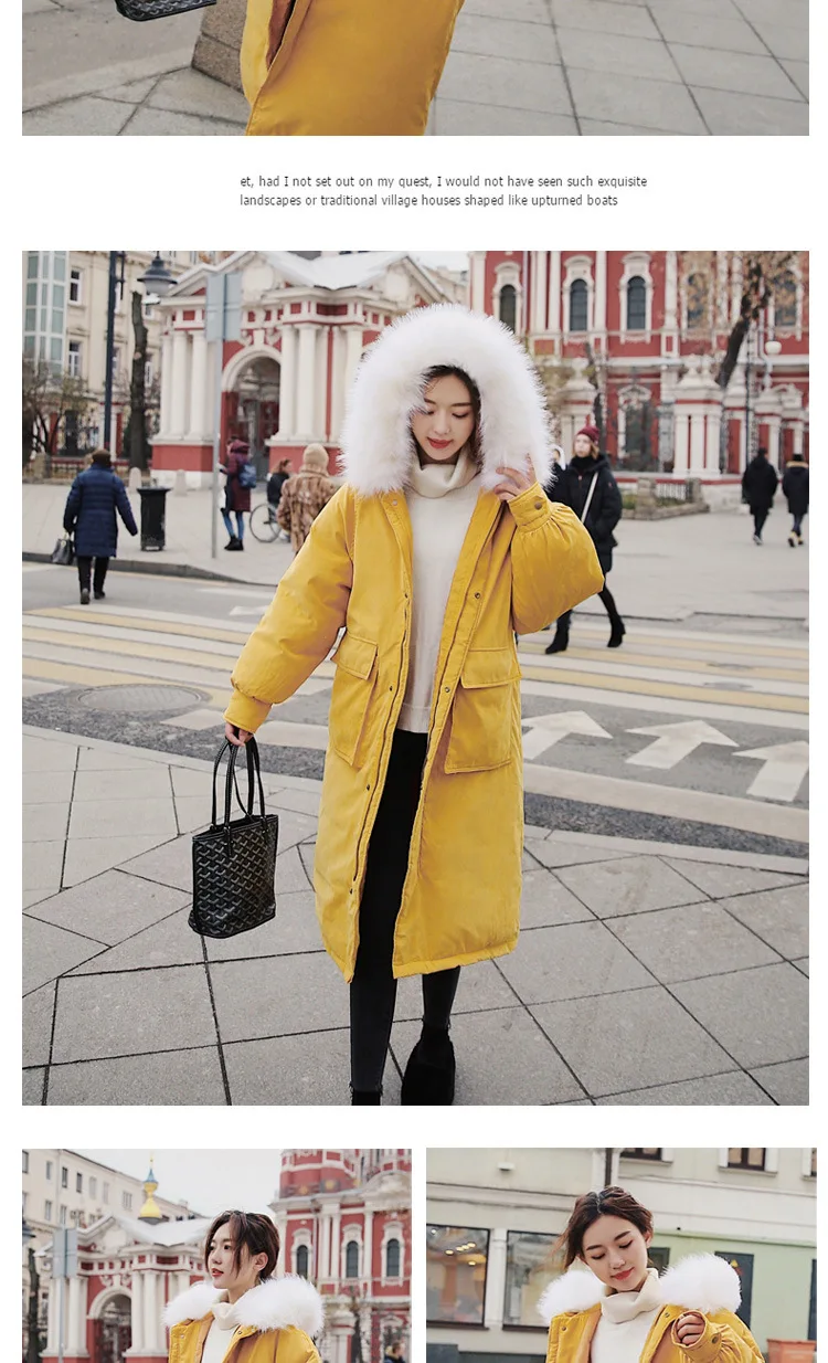8821Cotton_10.jpg