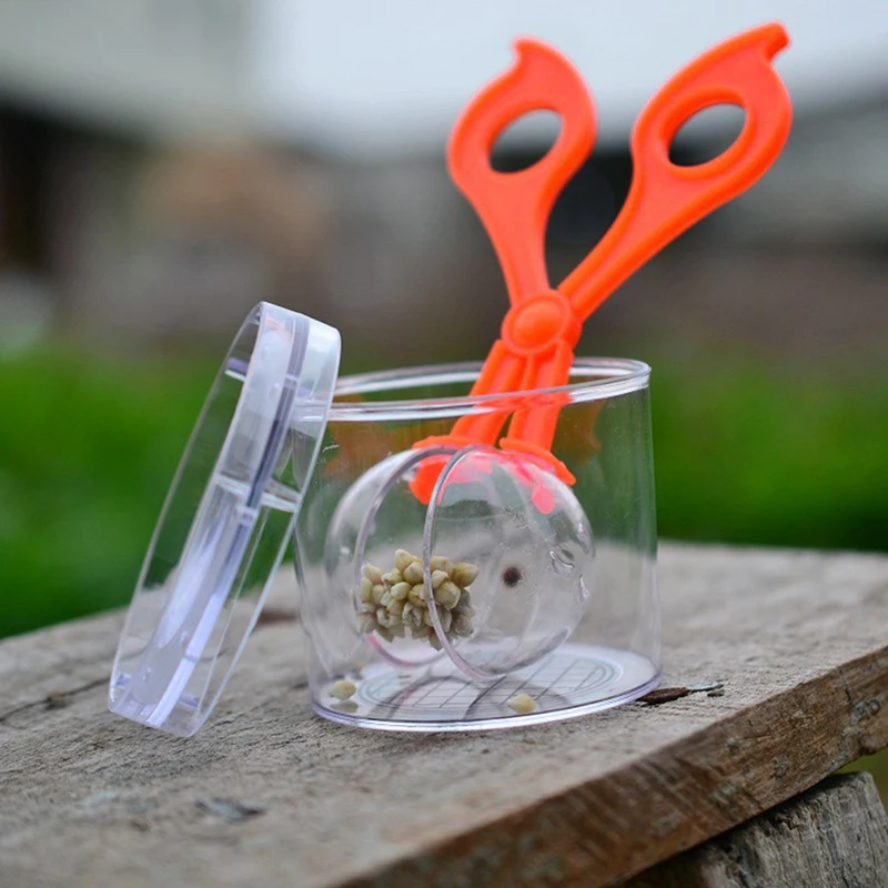 Children School Plant Insect Biology Study Tool Set Plastic Scissor Clamp Tweezers Cute Nature Exploration Toy 2 Children School Plant Insect Biology Study Tool Set Plastic Scissor Clamp Tweezers Cute Nature Exploration Toy 2