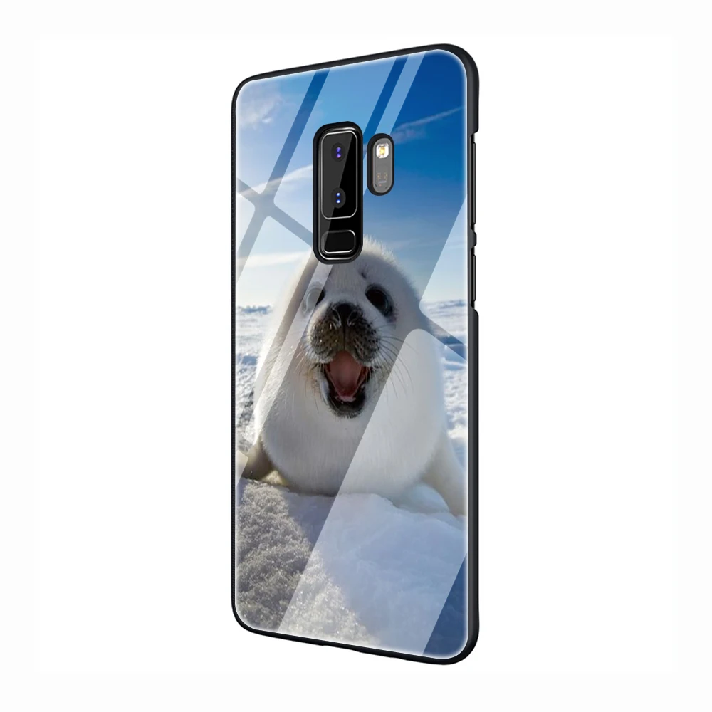 G4 EWAU Детские Арфы печать морской лев Стекло чехол для телефона для samsung Galaxy S7 8; большие размеры 9, 10; плюс 10 плюс Note8 9 10 плюс A10 20 30 40 50 60 70 - Цвет: G4