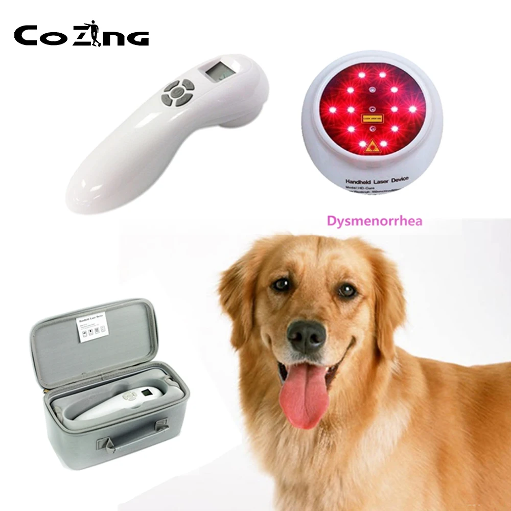 New Veterinary Dog and Horse Cat Animals Pain Relief LLLT Therapy Device For 808nm infrared Laser Safety Cold Laser