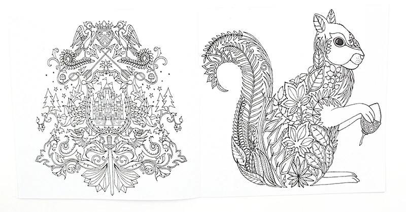 Книга раскраска Зачарованный лес 24 страницы 1 шт.|books for children|coloring bookpainting drawing book |