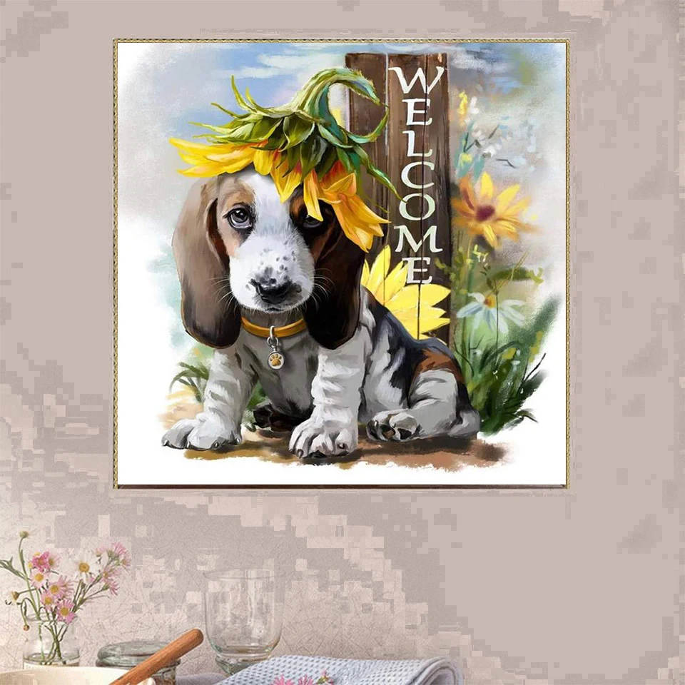 71fqAO-zDpL._SL1000_