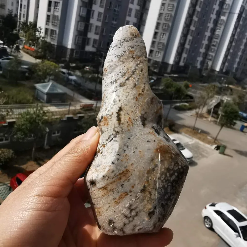 微信图片_20200311103815