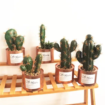 

1PC Simulation of succulent potted tropical cactus series creative home decoration artificial plants with pot cactus decoracion