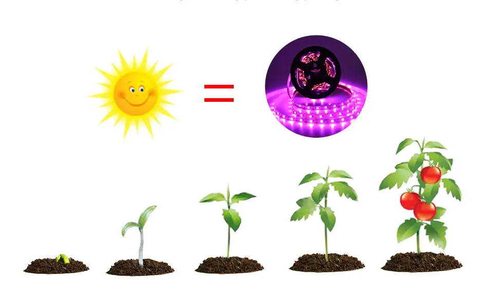 5 в USB СВЕТОДИОДНЫЙ светильник для выращивания, полный спектр, Светодиодная лента, светильник s 1 м 2 м IP65 SMD 2835 Светодиодный, фито-Диодная лампа для выращивания растений, палаток, гидропонная лампа