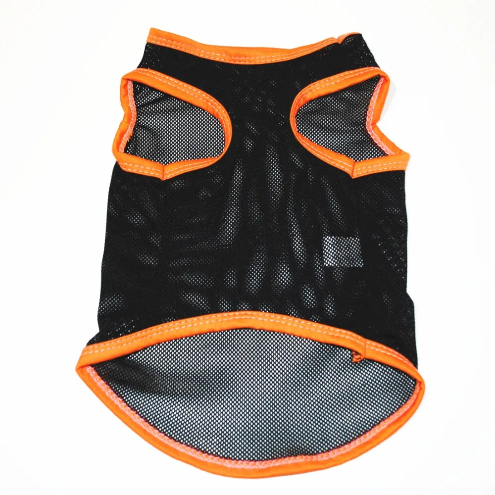 10745874935_361259826