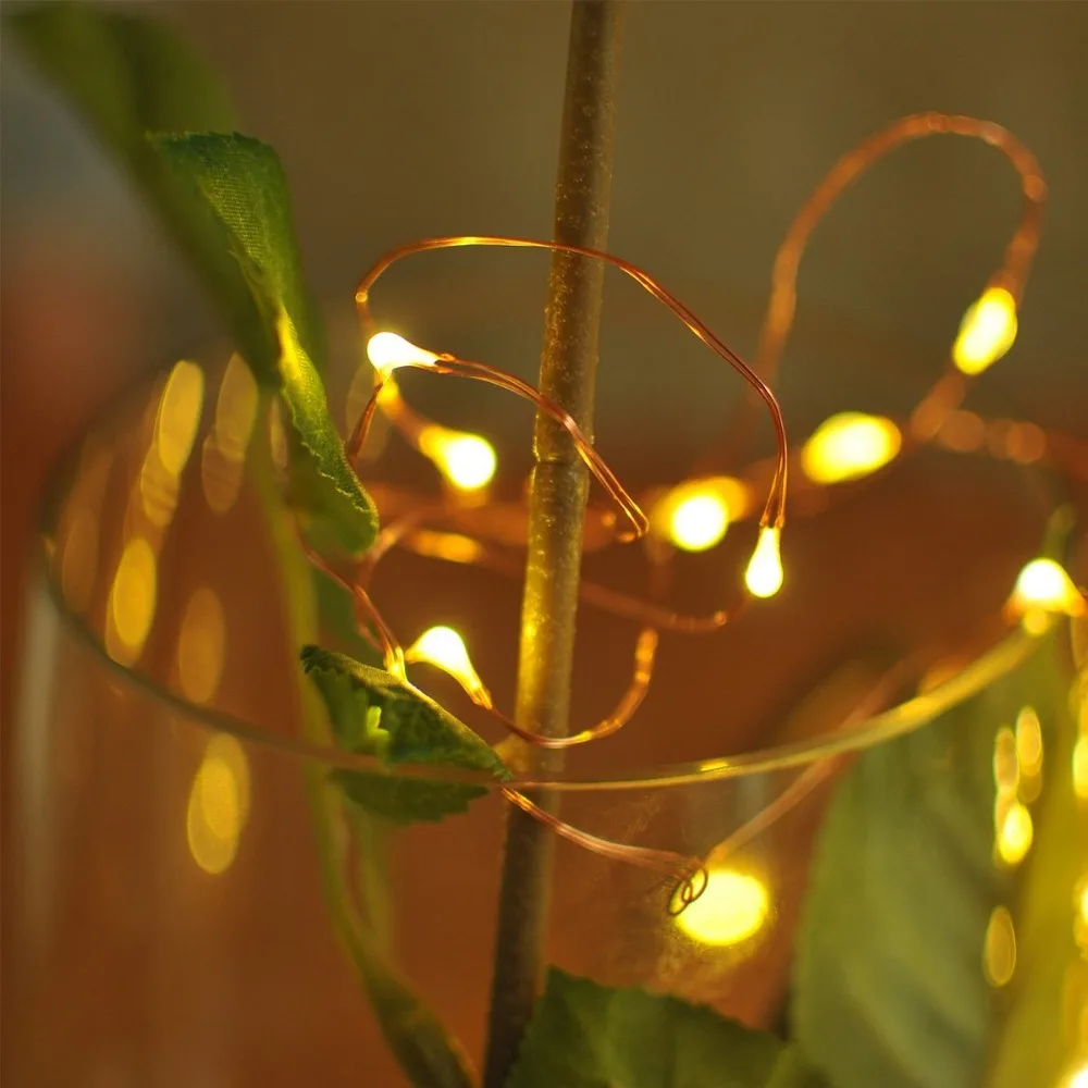 5M-50-LED-3xAA-Battery-Operated-LED-Copper-Wire-String-Light-for-Xmas-Garland-led-strip(5)
