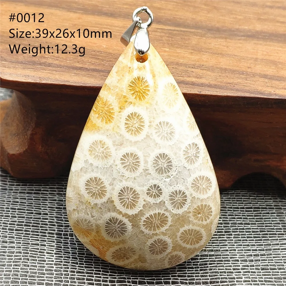 SHP0012 (2)
