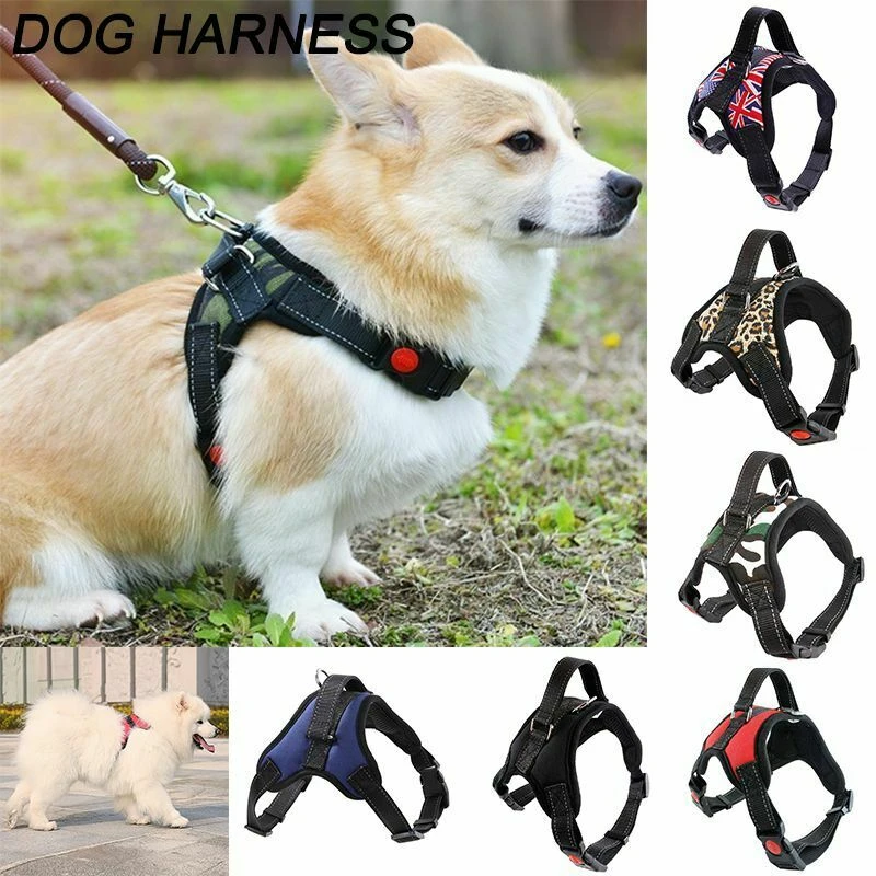 xl dog harness with handle