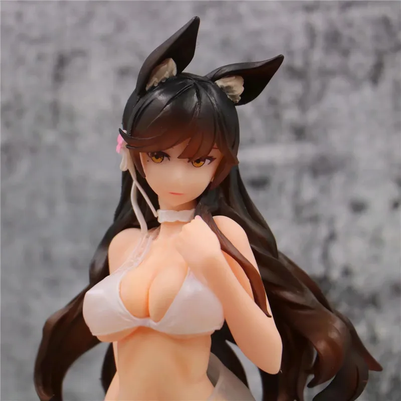 12329797074_661055912