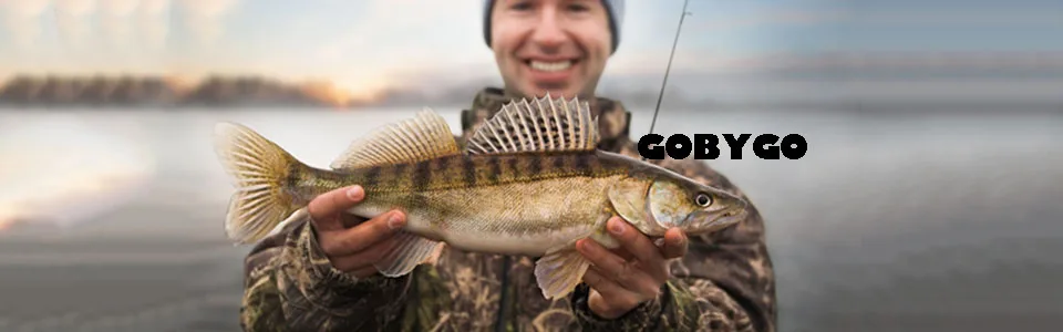 GOBYGO
