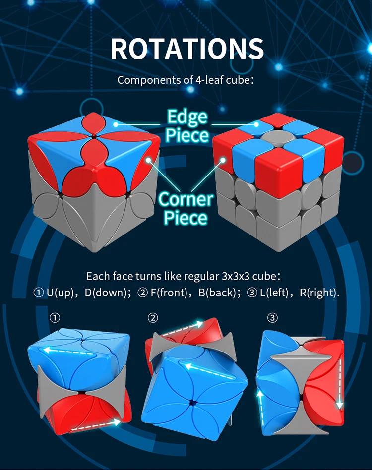 四叶草--详情--英文_05